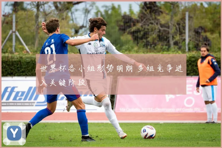 世界杯各小组形势明朗 多组竞争进入关键阶段