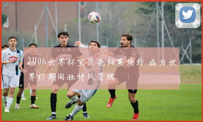 2006世界杯宝贝亮相赛场外 成为世界杯期间独特风景线