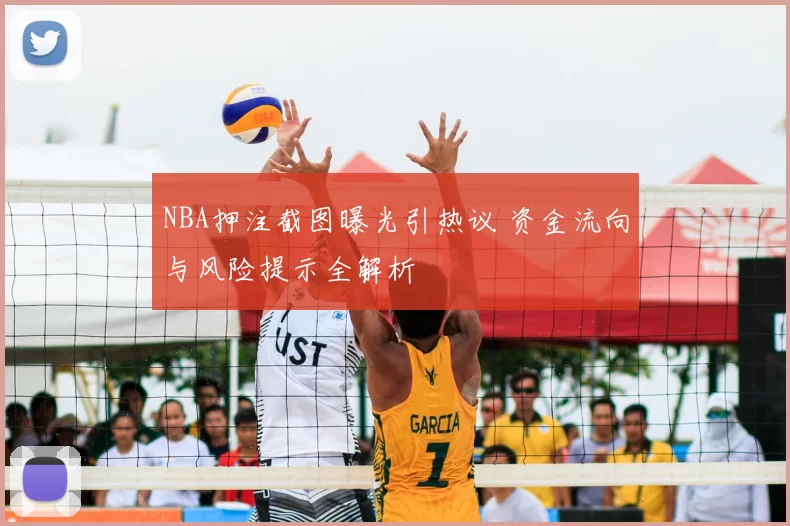 NBA押注截图曝光引热议 资金流向与风险提示全解析