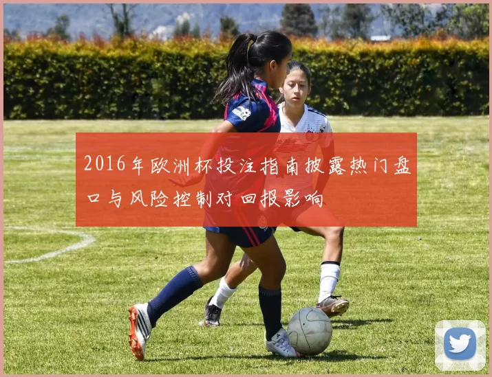 2016年欧洲杯投注指南披露热门盘口与风险控制对回报影响