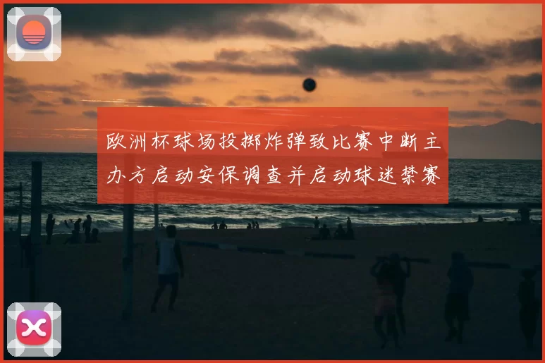 欧洲杯球场投掷炸弹致比赛中断主办方启动安保调查并启动球迷禁赛审查