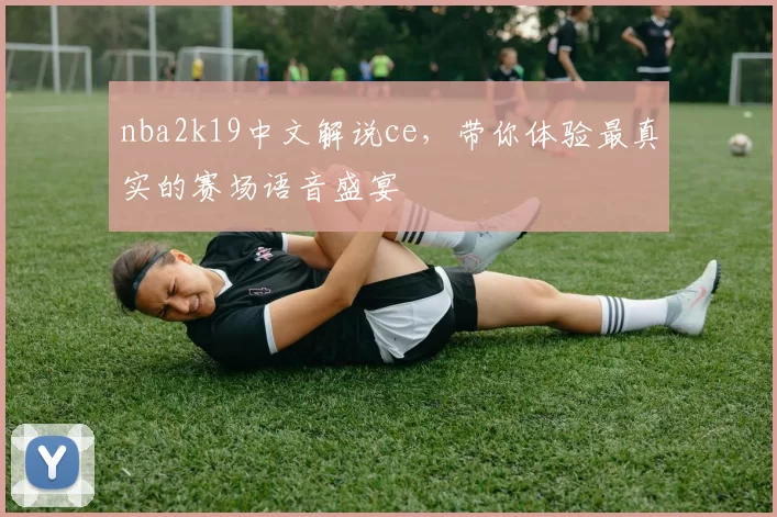 nba2k19中文解说ce，带你体验最真实的赛场语音盛宴