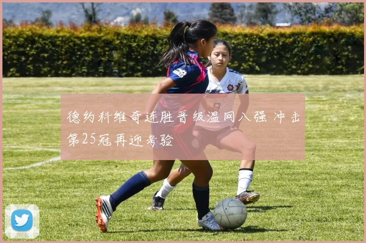 德约科维奇连胜晋级温网八强 冲击第25冠再迎考验