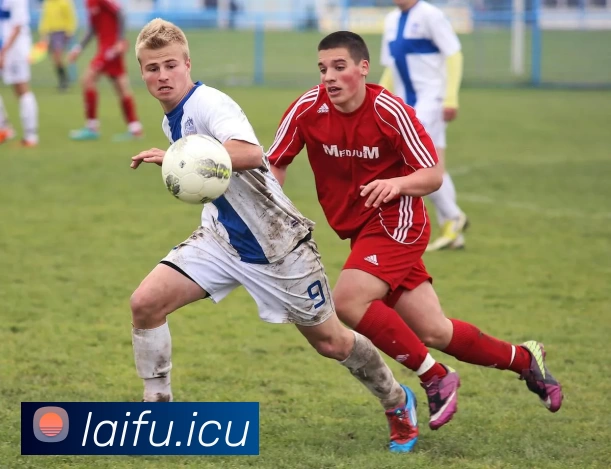 九游网页官方网站全站App